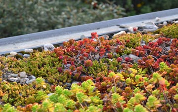 the cost of Merther Lane green roof installation