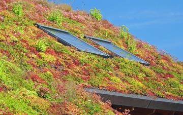 Merther Lane living roof systems